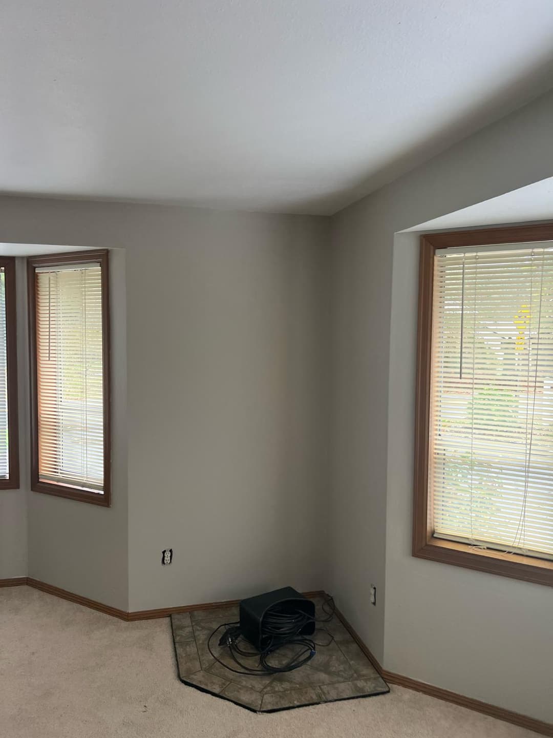 Newly painted siding and fascia in a light yellow color